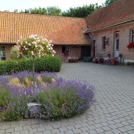 Gite De La Noyelle A Sainghin En Melantois Exteriör bild