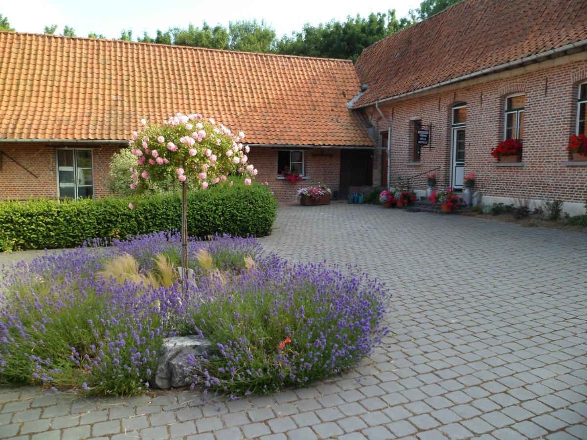 Gite De La Noyelle A Sainghin En Melantois Exteriör bild